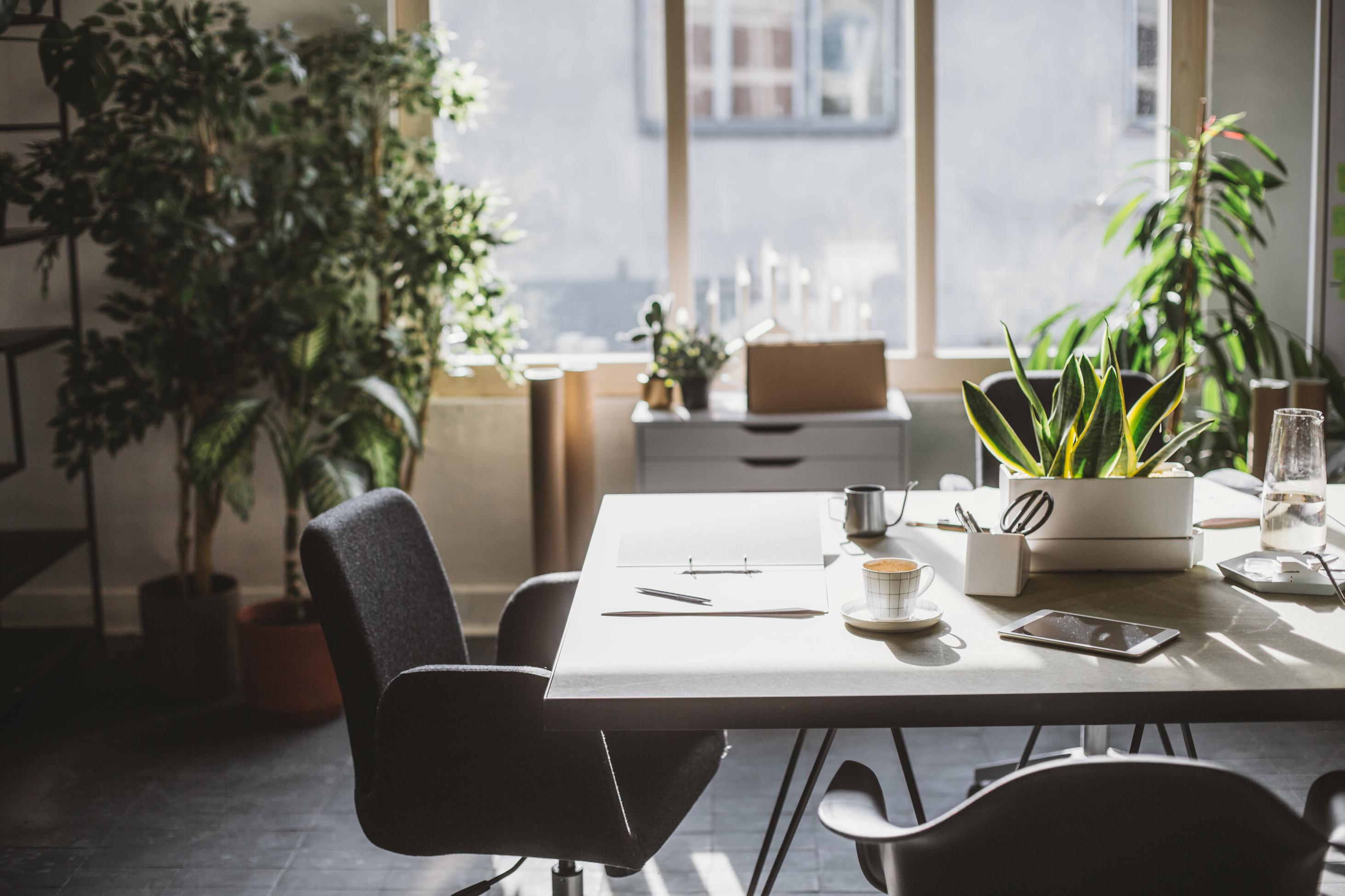 Warm Empty Conference Room